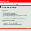 Анонс ПО Oracle VM 3.0 для управления и виртуализации серверов